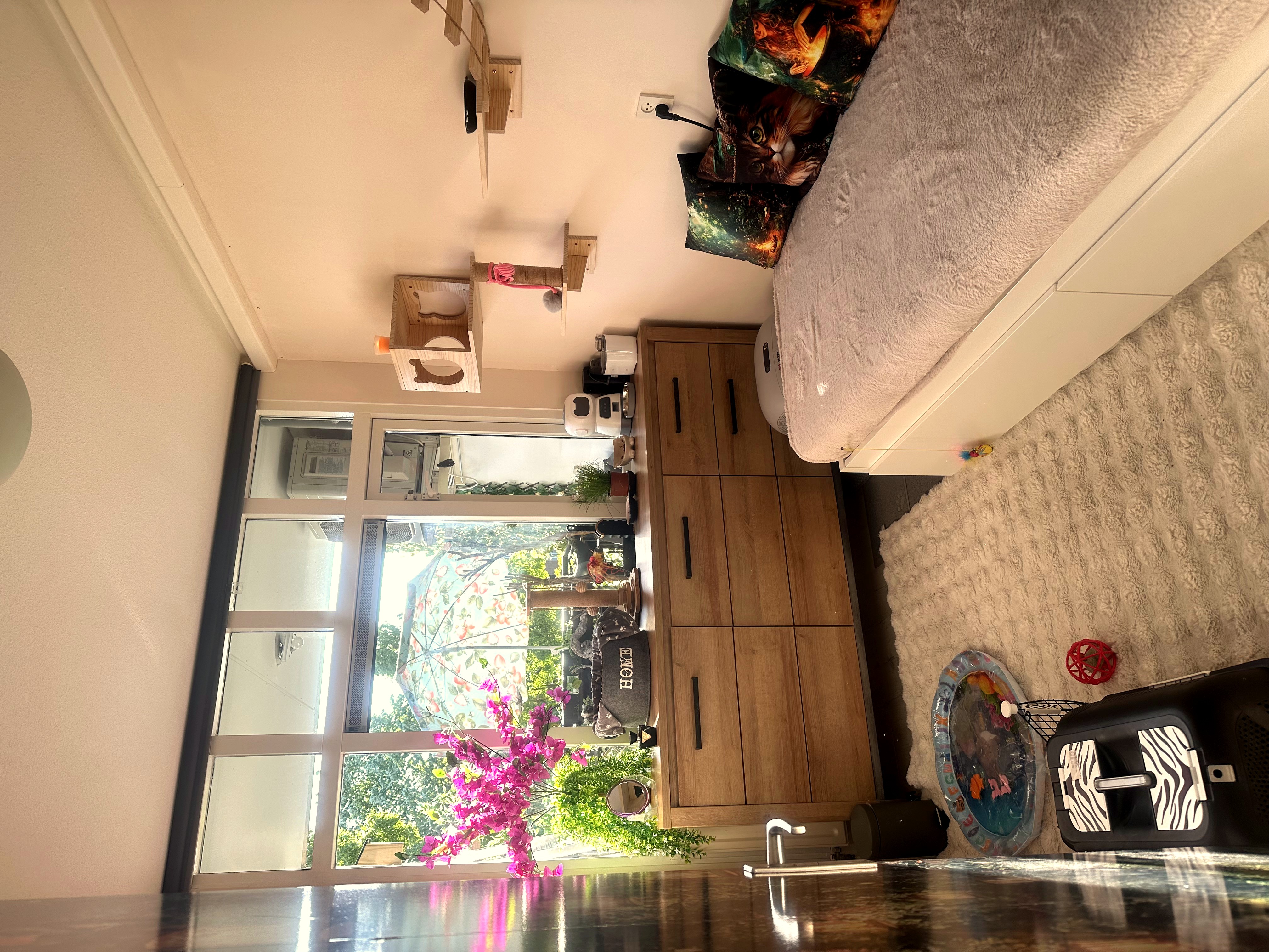 Our Cat Room View 1