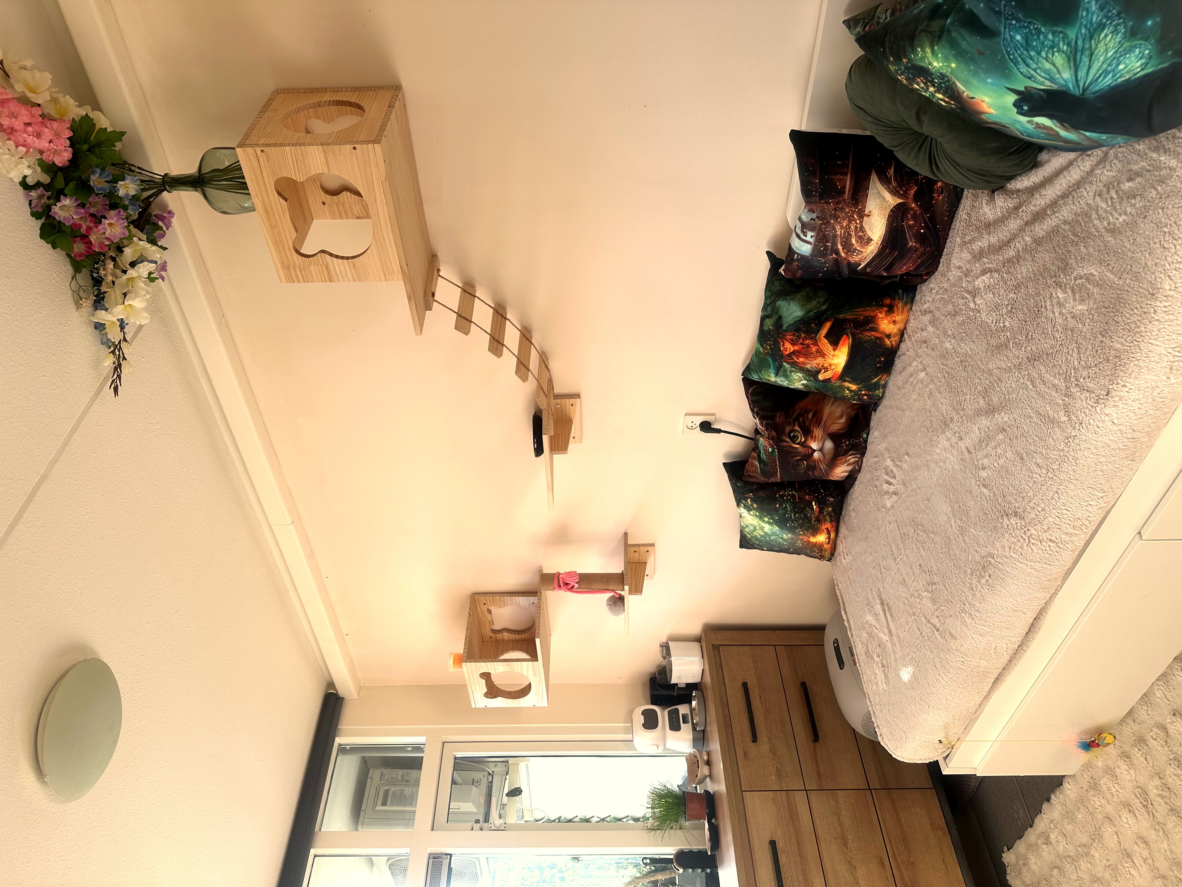 Our Cat Room View 2