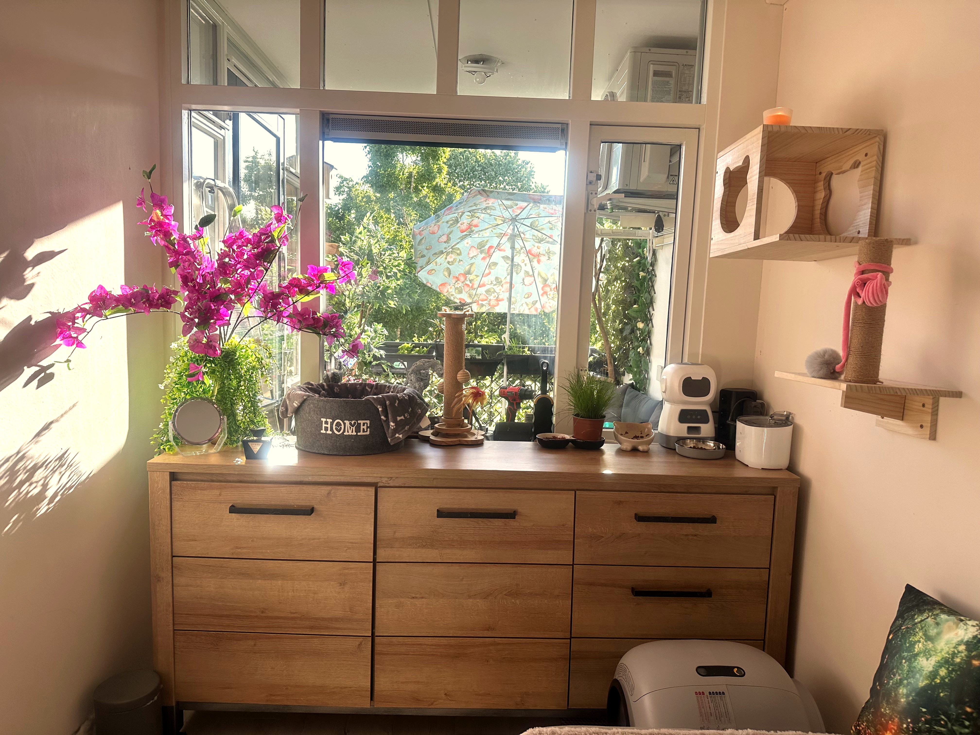 Our Cat Room View 3