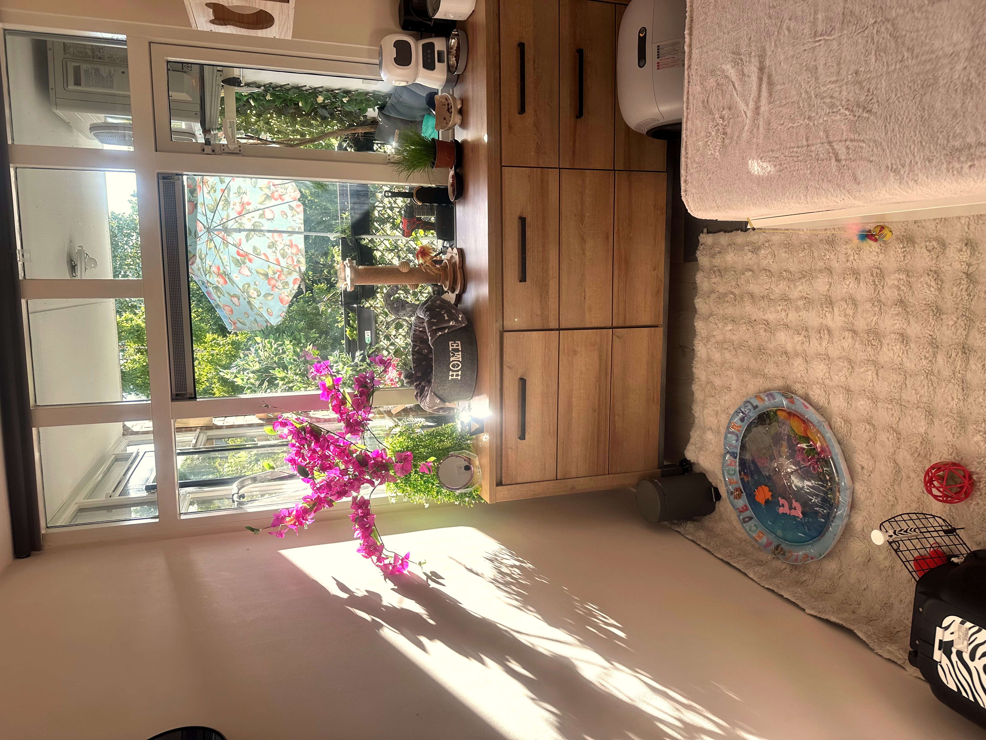Our Cat Room View 4