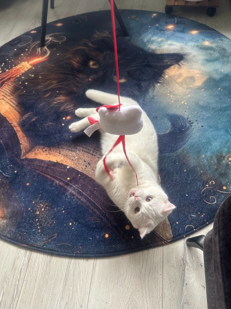 Playful activities