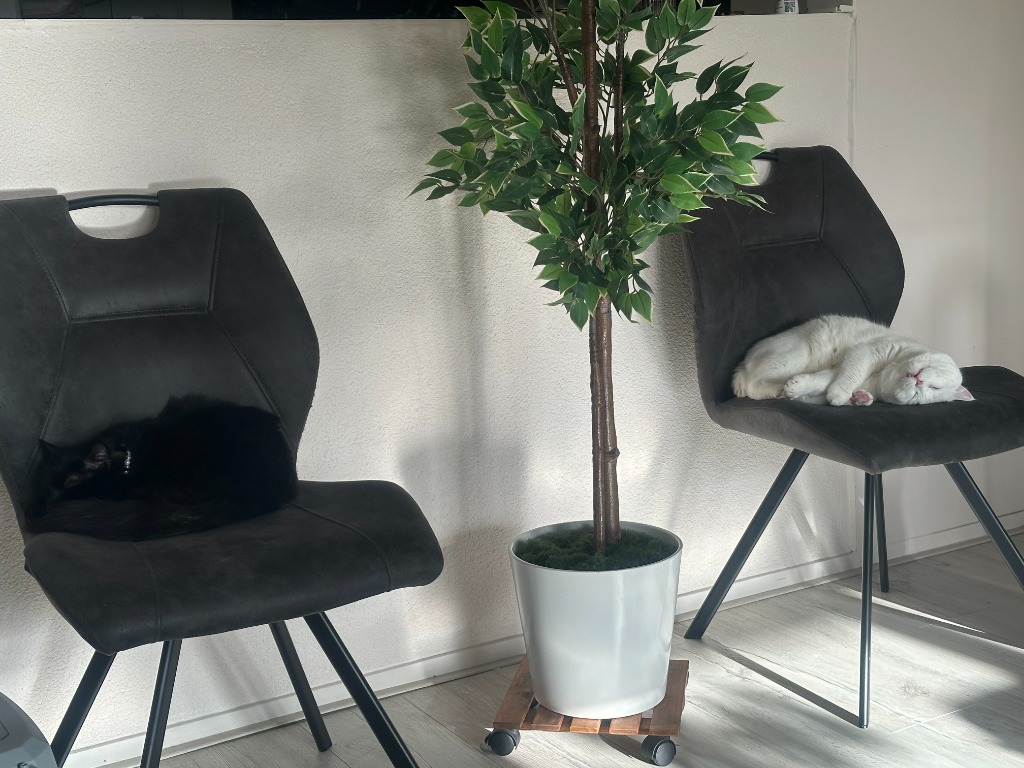Peaceful napping