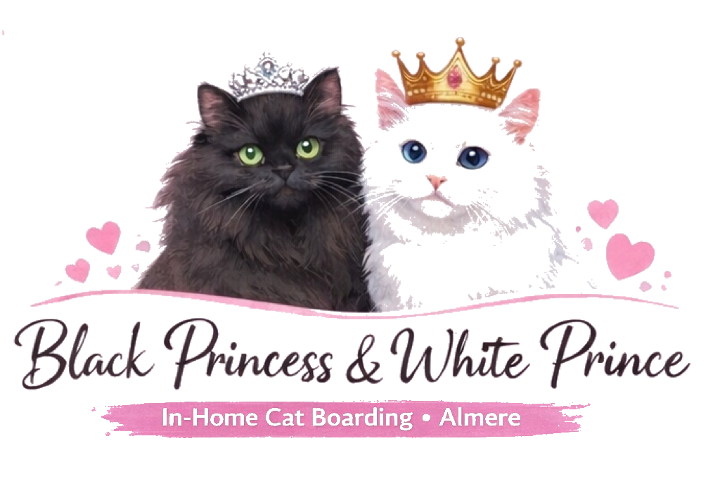 Black Princess & White Prince