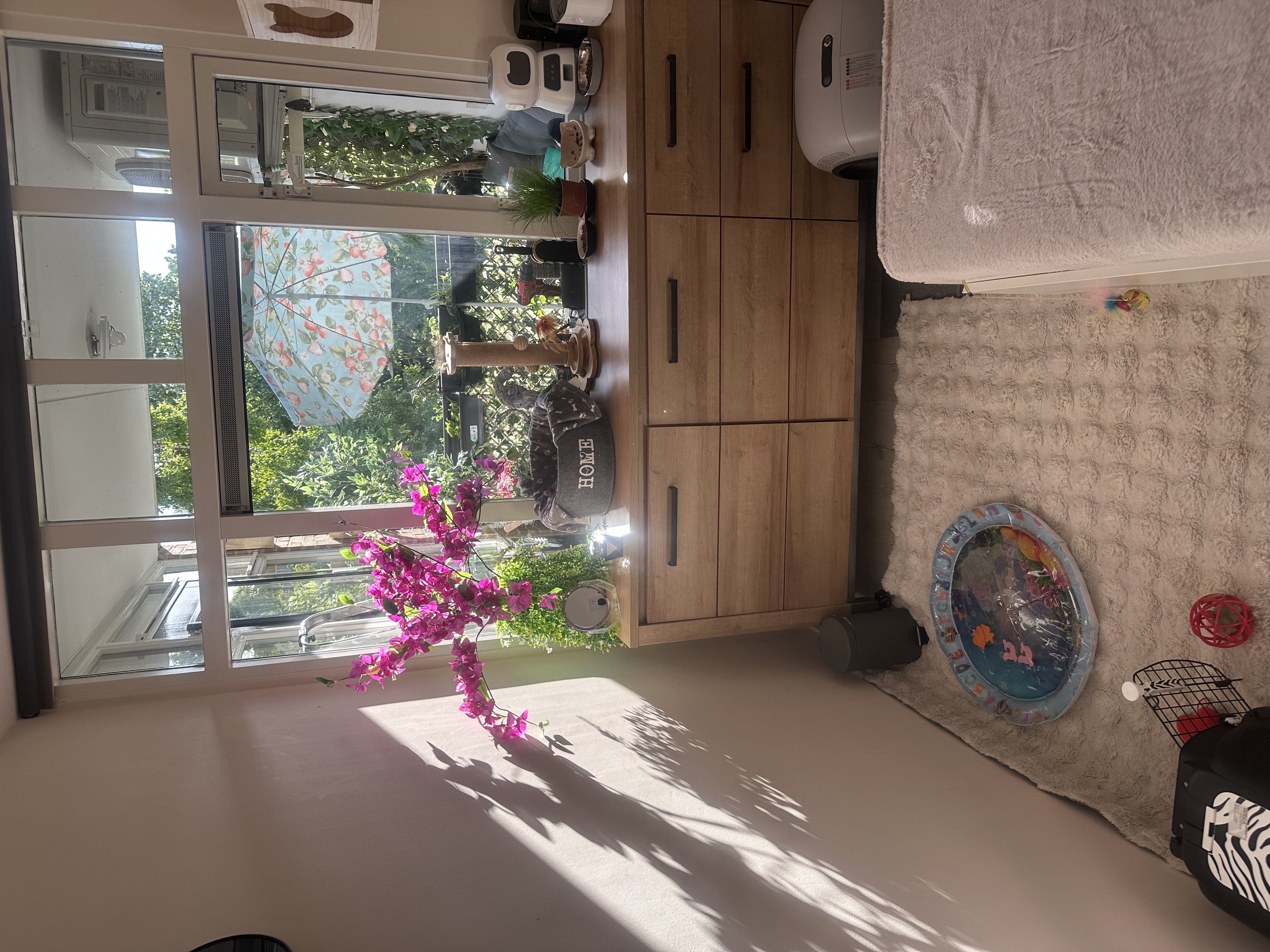 Dedicated Guest Room