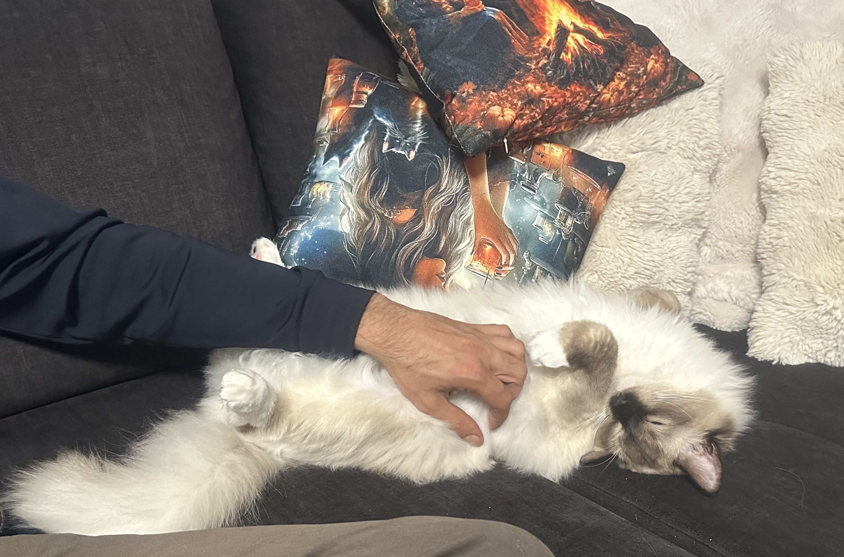 Daily Photo & Video Updates